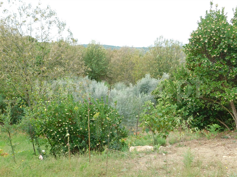 Terreno  Seia, Vila Cova à Coelheira - 1362280 - 8