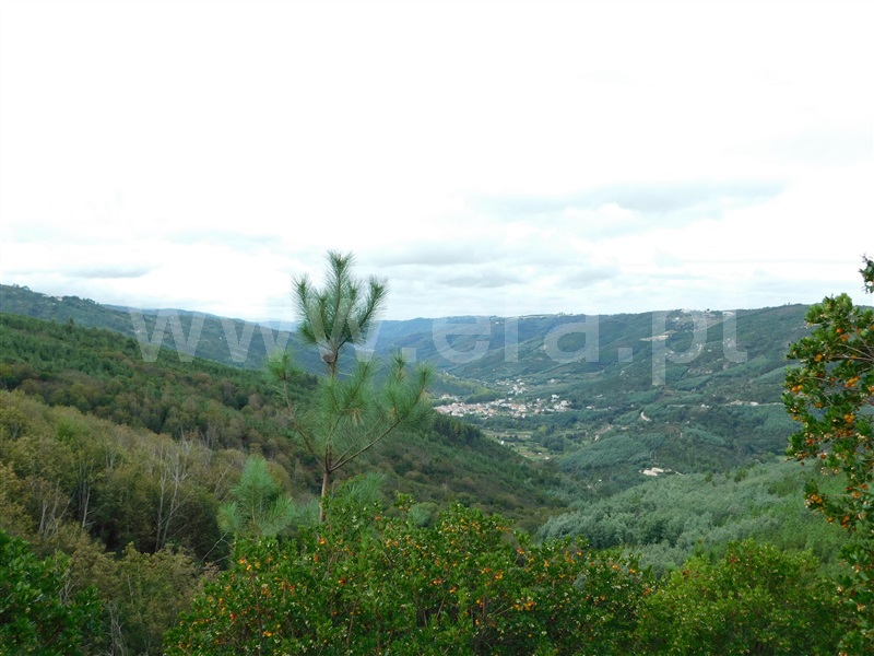 Terreno  Seia, Vila Cova à Coelheira - 1362280 - 10