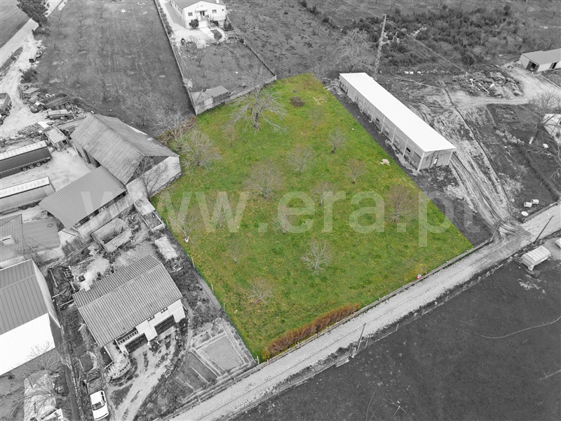 Terreno  Sernancelhe, Quintela - 1470986 - 2