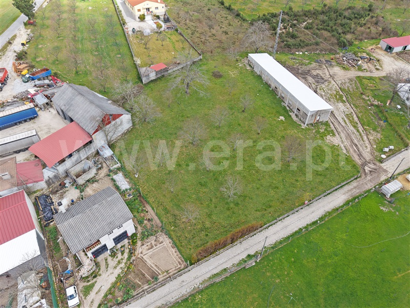 Terreno / Sernancelhe, Quintela