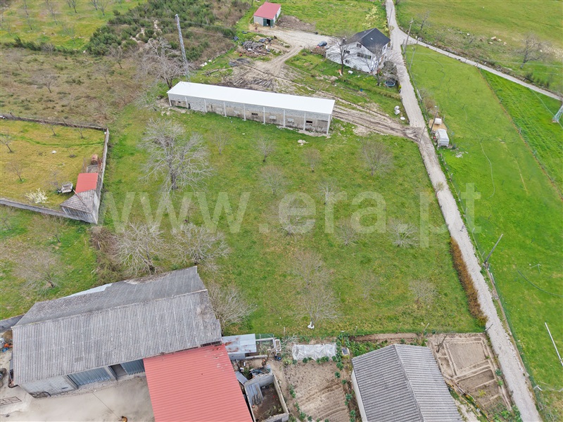 Terreno  Sernancelhe, Quintela - 1470986 - 6
