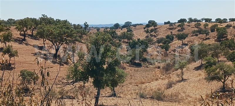 Terreno / Serpa, Vila Nova de São Bento e Vale de Vargo