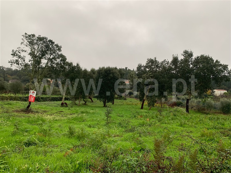 Terreno / Sertã, Pedrógão Pequeno