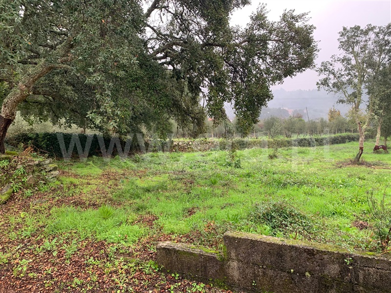 Terreno  Sertã, Pedrogão Pequeno - 1369006 - 3
