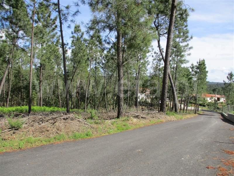 Terreno  Sertã, Sertã - 1167720 - 4