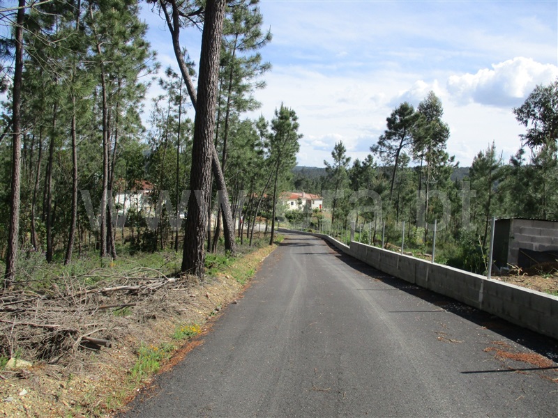 Terreno  Sertã, Sertã - 1167720 - 6