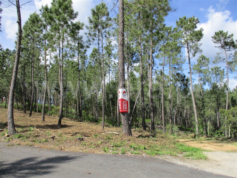 Terreno  Sertã, Sertã - 1167720 - 2