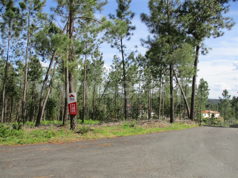 Terreno / Sertã, Sertã