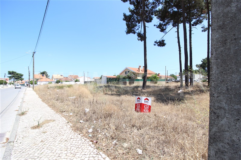 Terreno / Sesimbra, Conde IV