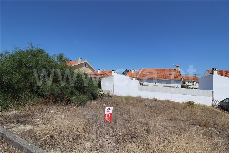 Terreno / Sesimbra, Conde IV