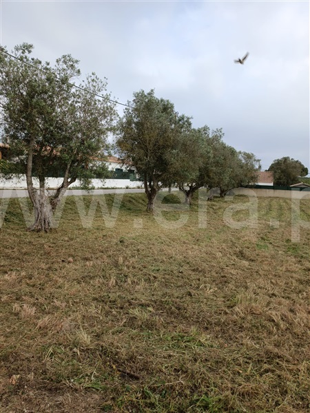 Lote  Sesimbra, Sesimbra - Azóia - 1493986 - 6