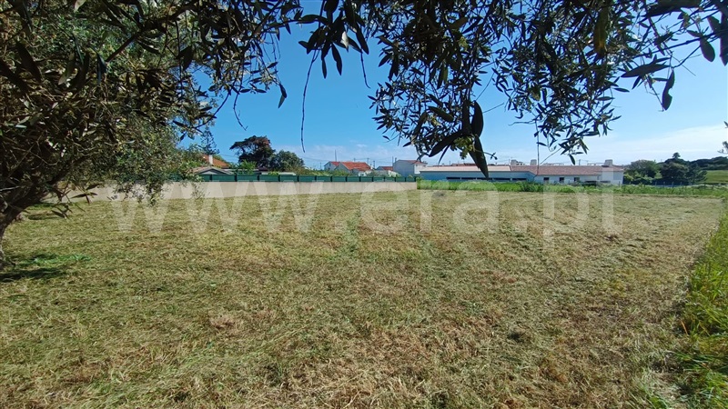 Lote  Sesimbra, Sesimbra - Azóia - 1493986 - 4
