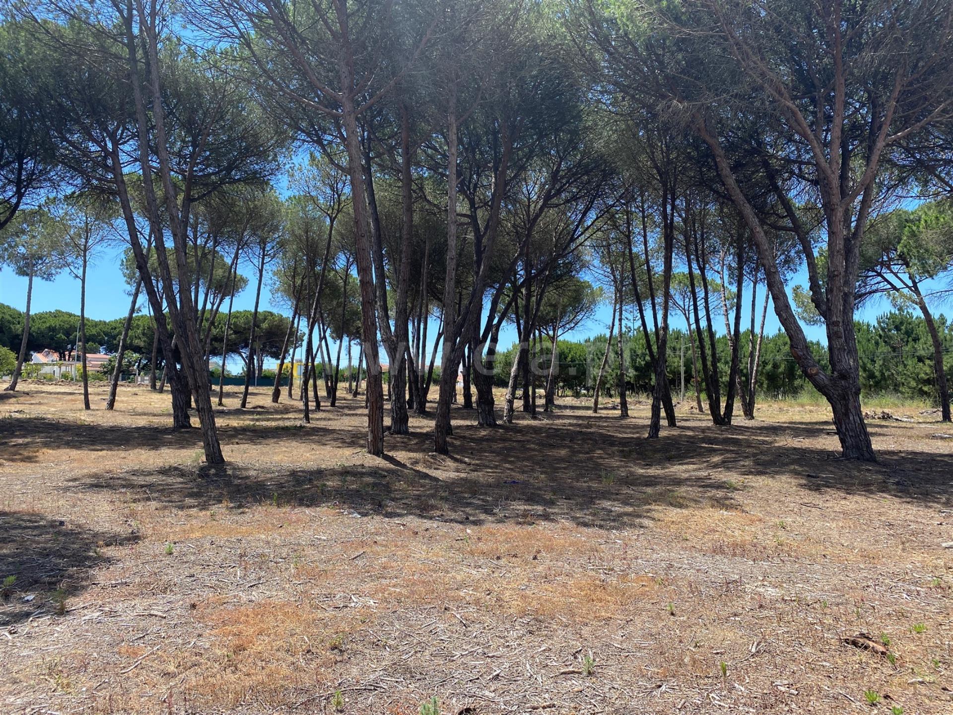 Land for sale in Sesimbra, Portugal — €430,000