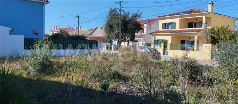 Terreno / Setúbal, Galeotas