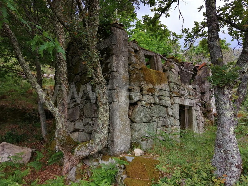 Terreno / Sever do Vouga, Couto de Esteves