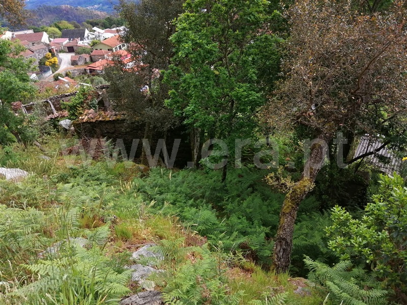 Terreno  Sever do Vouga, Couto de Esteves - 1170441 - 2