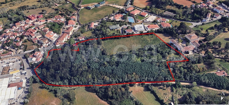 Terreno / Sintra, Albarraque
