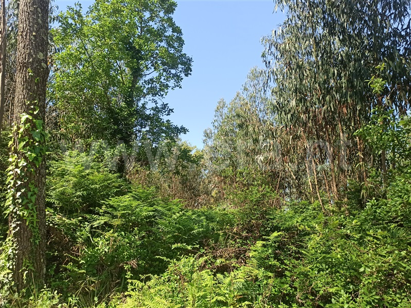 Terreno  Sintra, Almargem do Bispo - 765079 - 10