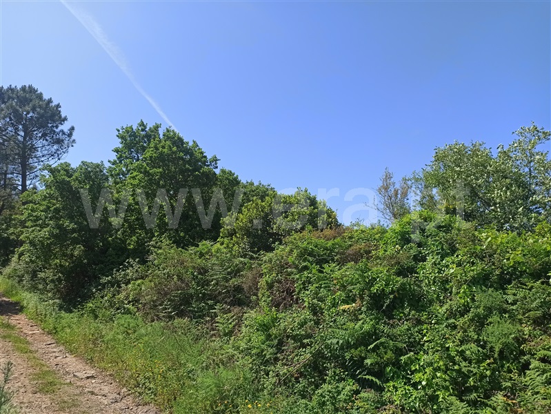Terreno  Sintra, Almargem do Bispo - 765079 - 13