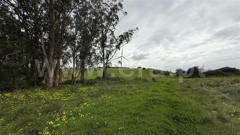 Terreno  com Agrícola Sobral de Monte Agraço, Sobral Monte Agraço - 1466268 - 7