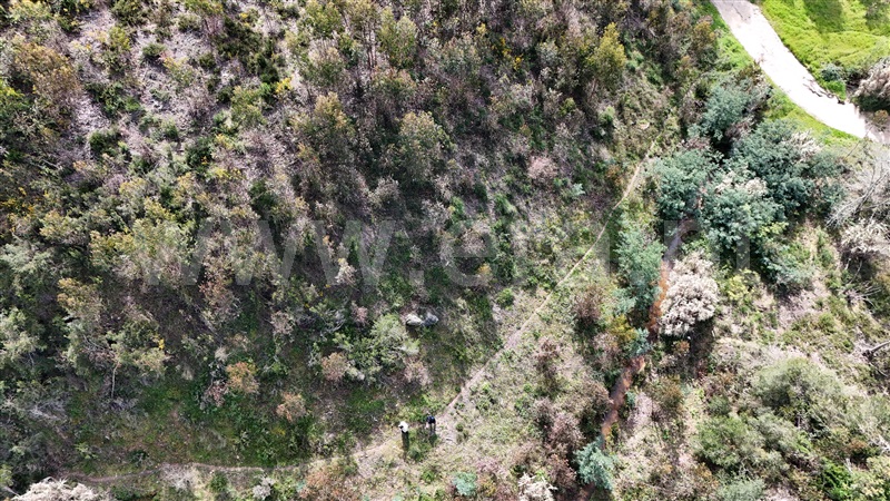 Terreno  Soure, Gesteira e Brunhós - 1390588 - 20