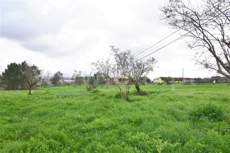Terreno  Soure, Soure - 1081323 - 2