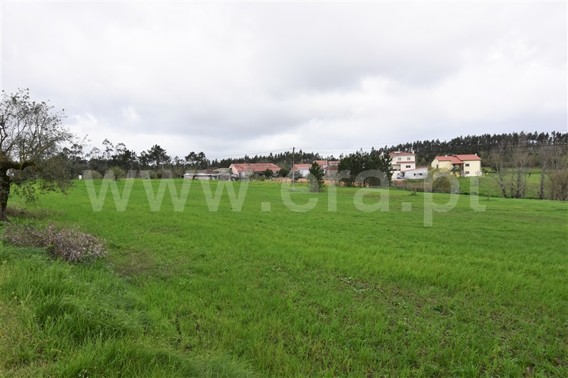 Terreno  Soure, Soure - 1081323 - 4