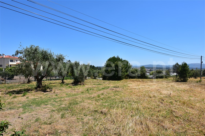 Terreno  Soure, Soure - 1099686 - 2