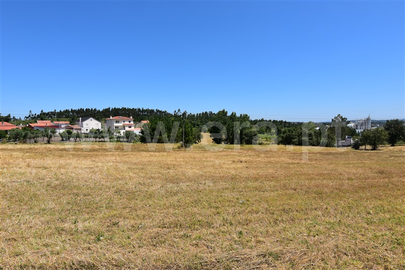 Terreno / Soure, Soure