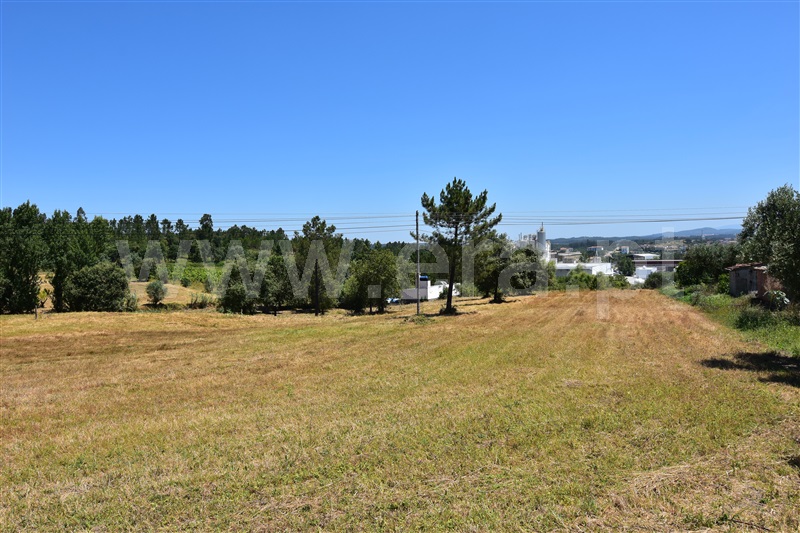 Terreno  Soure, Soure - 1099752 - 2