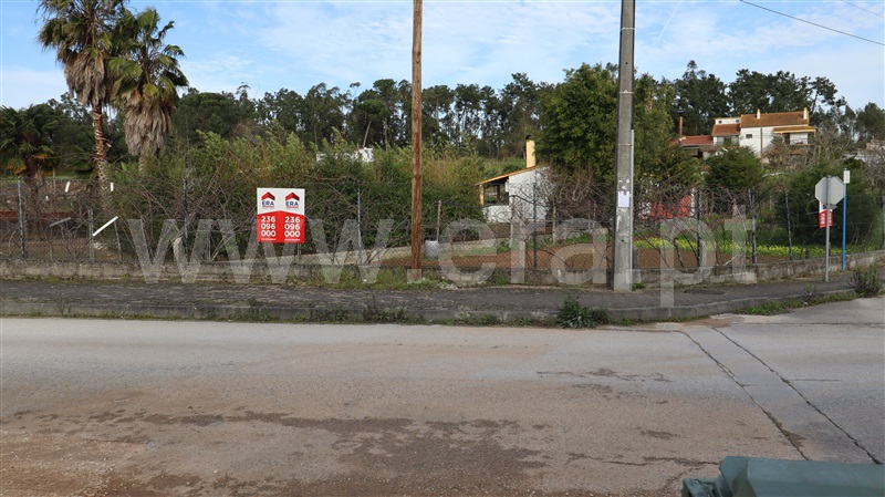 Terreno / Soure, Soure