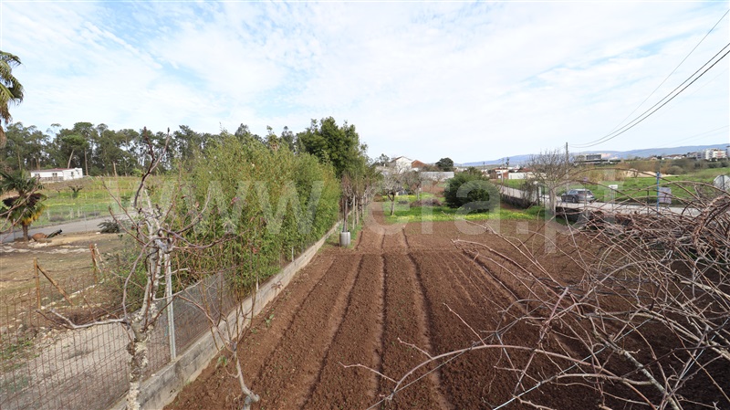 Terreno  Soure - 1387082 - 4