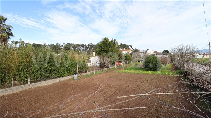 Terreno  Soure - 1387082 - 5