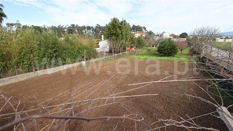 Terreno  Soure - 1387082 - 6