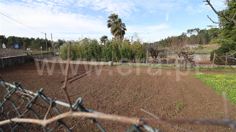 Terreno  Soure - 1387082 - 7