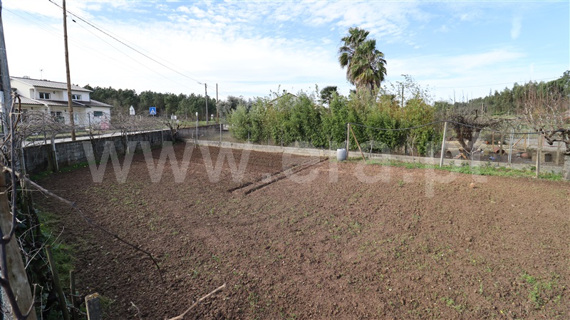 Terreno  Soure - 1387082 - 8