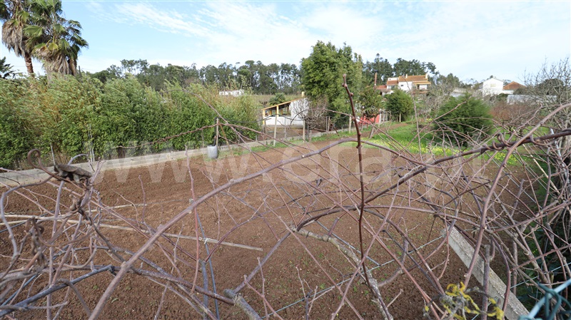 Terreno  Soure - 1387082 - 10
