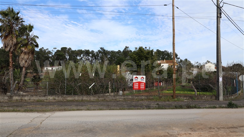 Terreno  Soure - 1387082 - 11