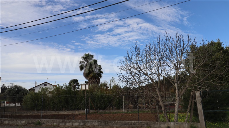 Terreno  Soure - 1387082 - 16