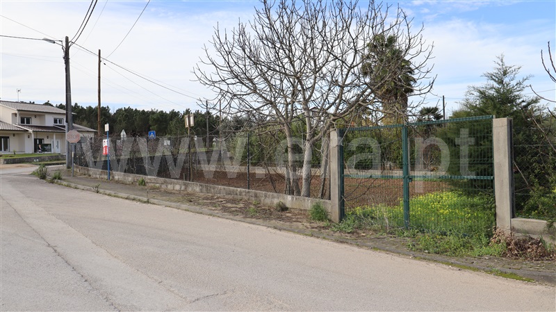 Terreno  Soure - 1387082 - 17