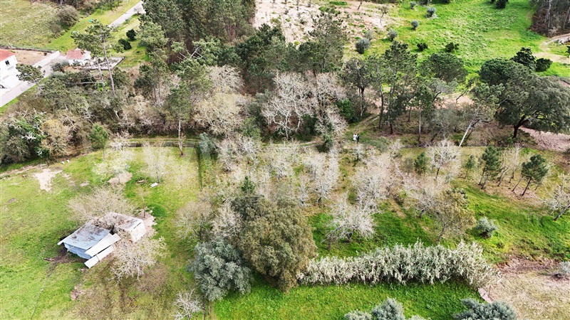 Terreno / Soure, SOURE