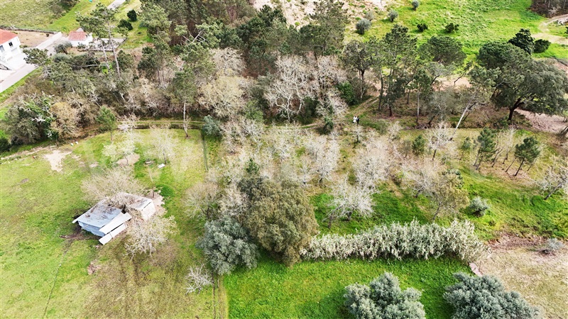 Terreno  Soure, Gesteira e Brunhós - 1390597 - 2