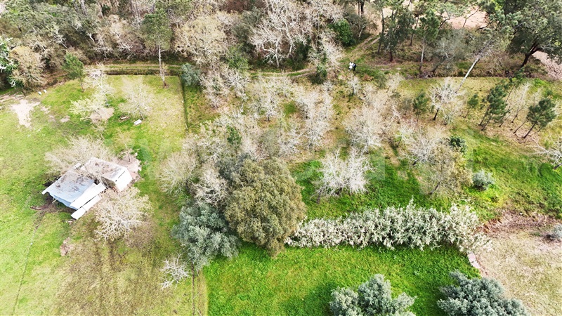 Terreno  Soure, Gesteira e Brunhós - 1390597 - 3