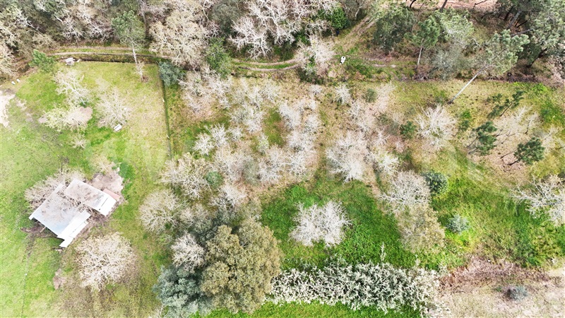 Terreno  Soure, Gesteira e Brunhós - 1390597 - 5