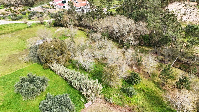 Terreno  Soure, Gesteira e Brunhós - 1390597 - 11