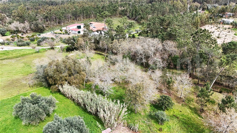 Terreno  Soure, Gesteira e Brunhós - 1390597 - 12