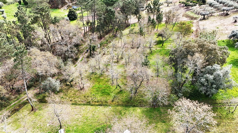 Terreno  Soure, Gesteira e Brunhós - 1390597 - 14