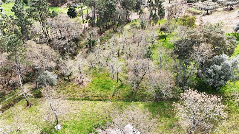 Terreno  Soure, Gesteira e Brunhós - 1390597 - 15