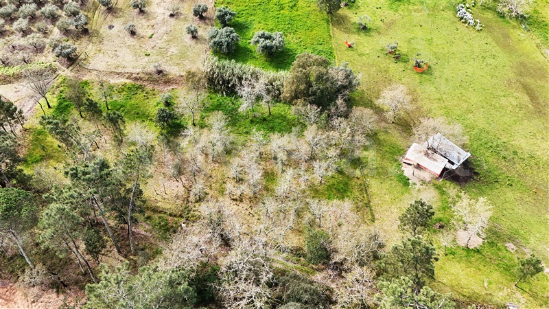Terreno  Soure, Gesteira e Brunhós - 1390597 - 16