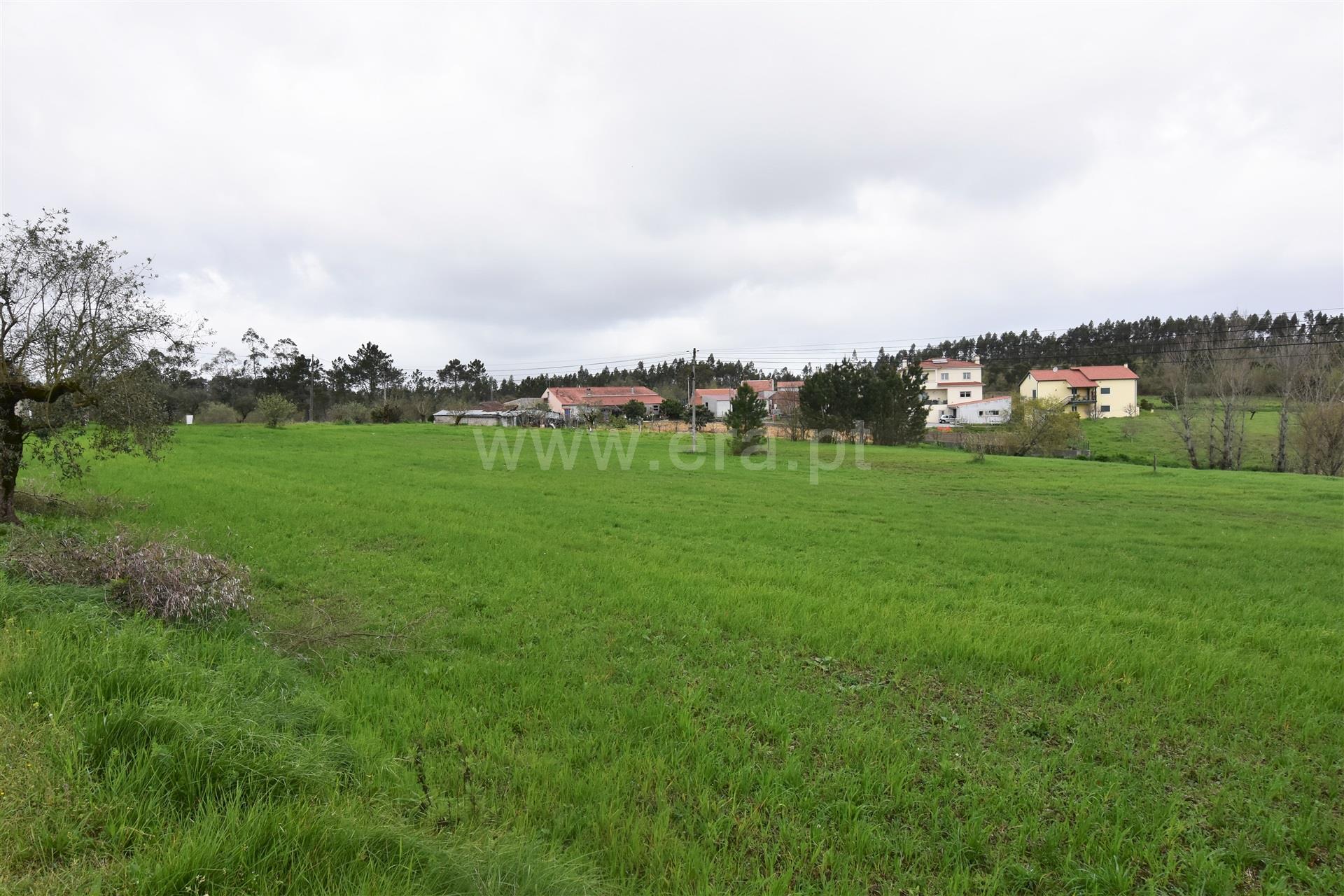 Land for sale in Soure, Portugal — €140,000